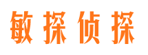 无为侦探公司